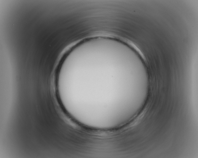 X0000115510987200911060959