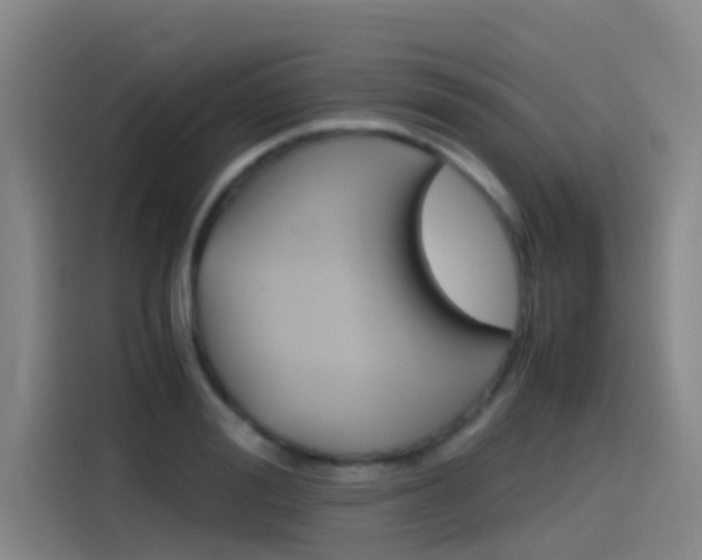 X0000115510988200911060959