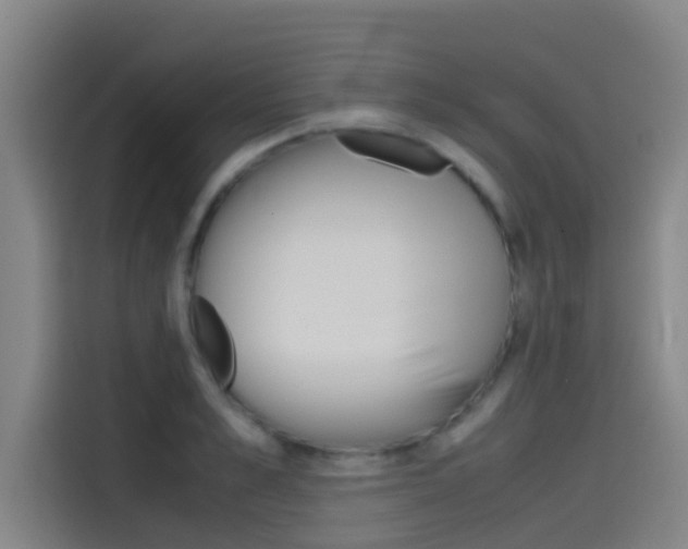 X0000115510989200911060959