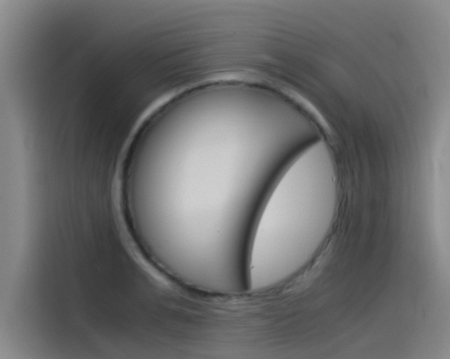 X0000115510991200911060959