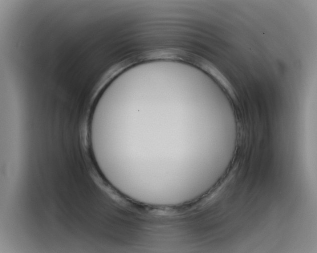 X0000115510994200911060959