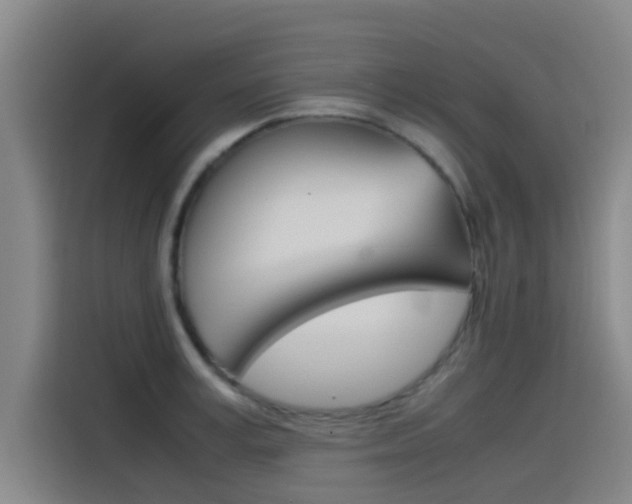 X0000115510995200911060959