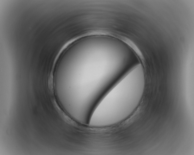 X0000115510996200911060959