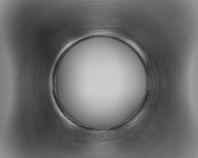 X0000115510999200911060959