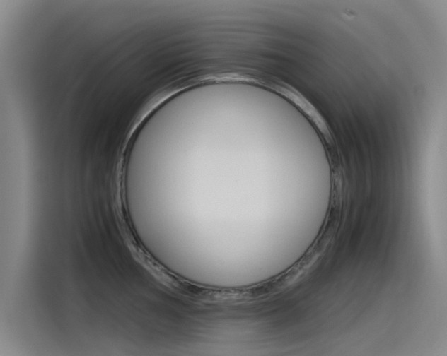 X0000115511002200911060959