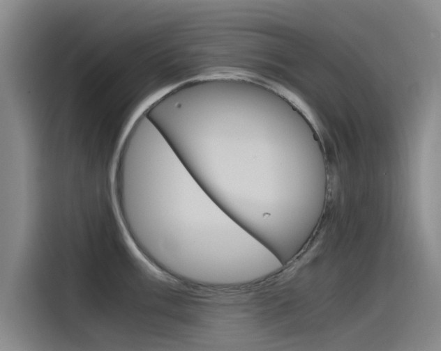 X0000115511003200911060959