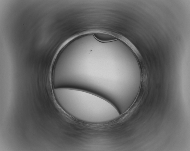 X0000115511004200911060959