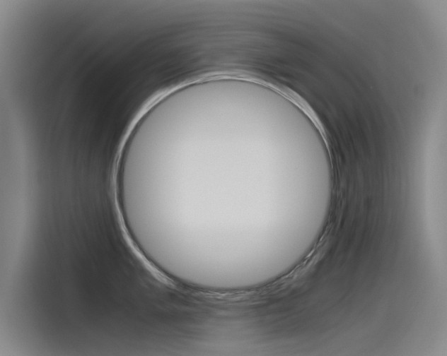 X0000115511005200911060959