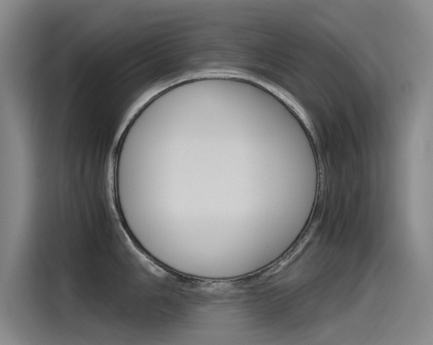 X0000115511006200911060959