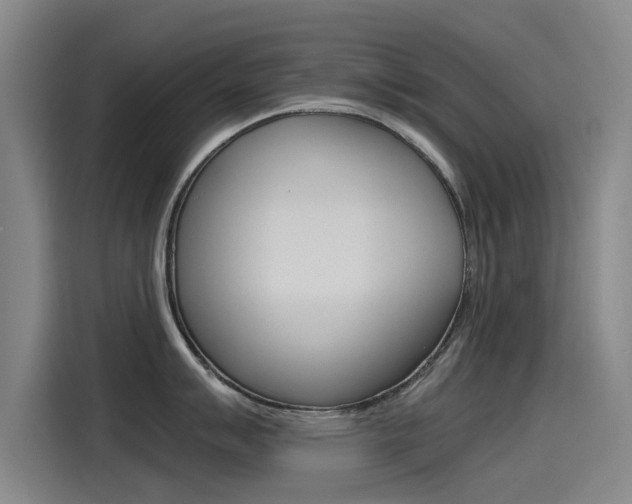 X0000115511007200911060959