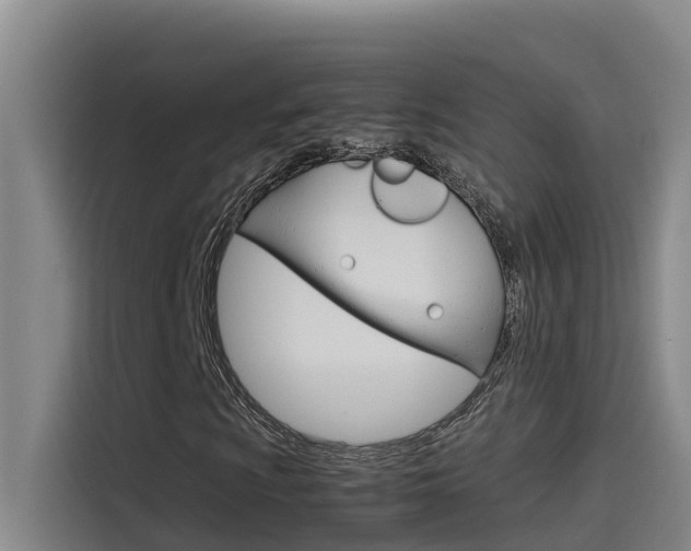 X0000115511009200911060958
