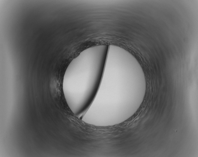 X0000115511010200911060958