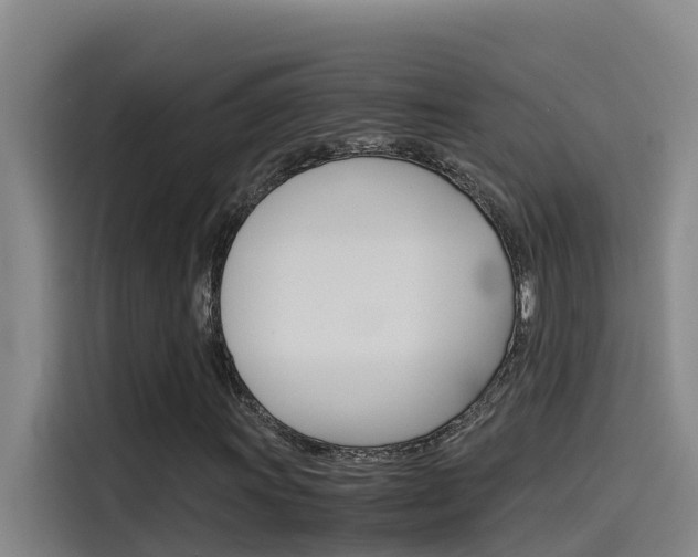 X0000115511011200911060958