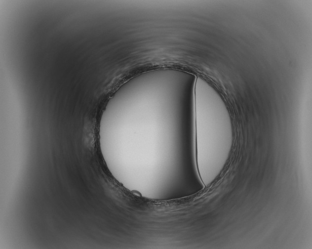 X0000115511012200911060958