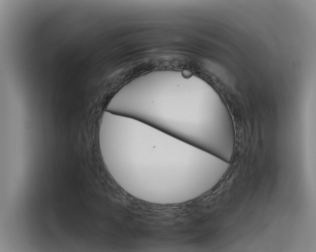 X0000115511013200911060958