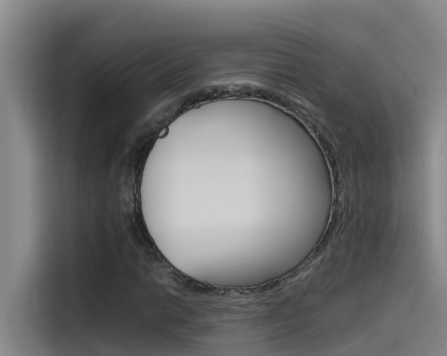 X0000115511014200911060958