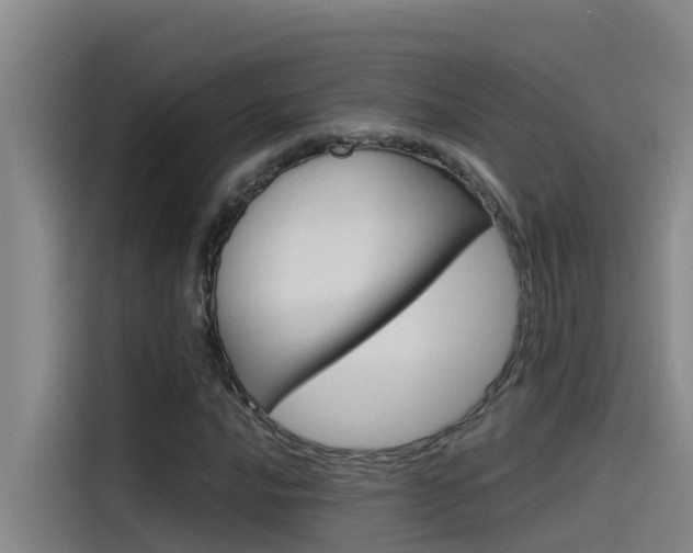 X0000115511016200911060958