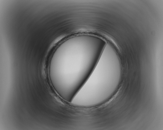X0000115511018200911060958