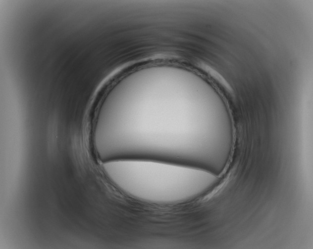 X0000115511021200911060958
