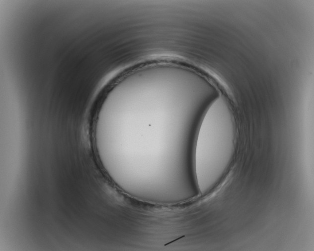 X0000115511022200911060958
