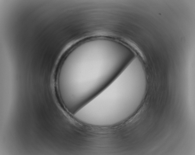 X0000115511024200911060958