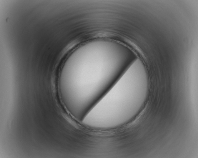 X0000115511026200911060958