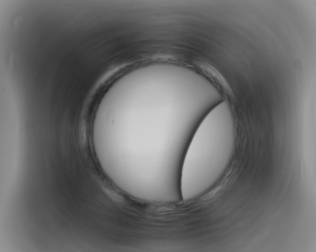 X0000115511027200911060958