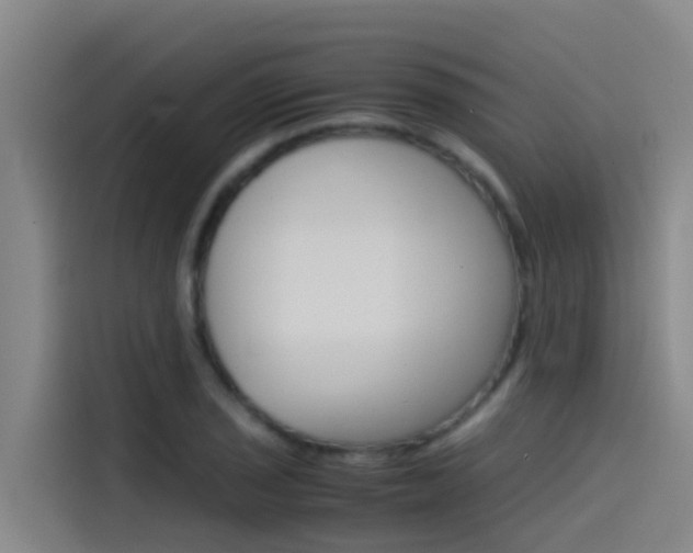 X0000115511029200911060958