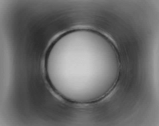 X0000115511030200911060958