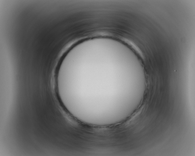 X0000115511031200911060958