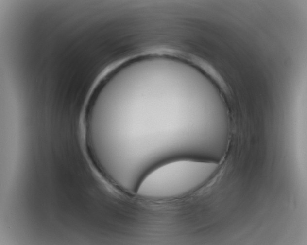 X0000115511032200911060958