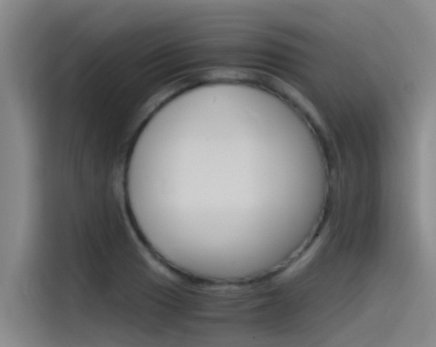 X0000115511033200911060958