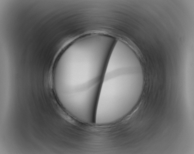 X0000115511036200911060958
