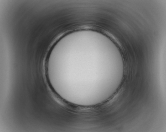 X0000115511039200911060958