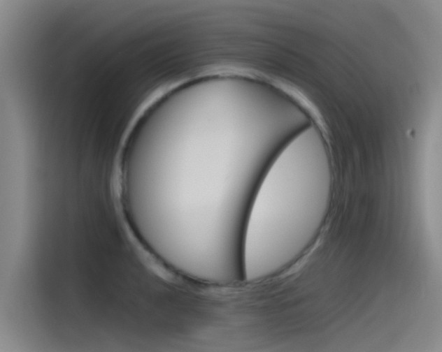X0000115511040200911060958
