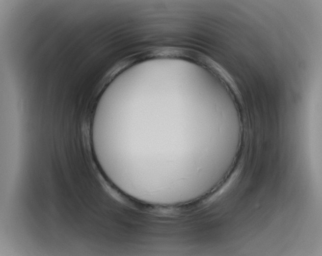 X0000115511041200911060958