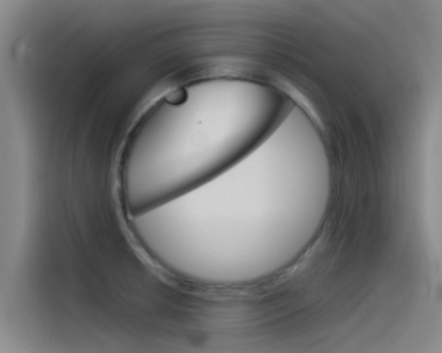 X0000115511042200911060958