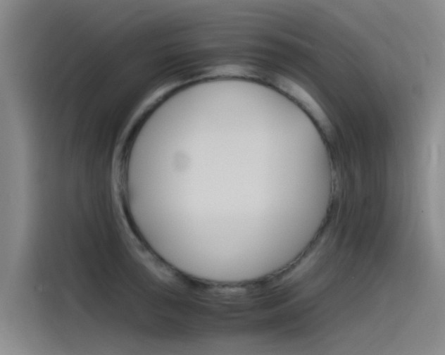X0000115511043200911060958