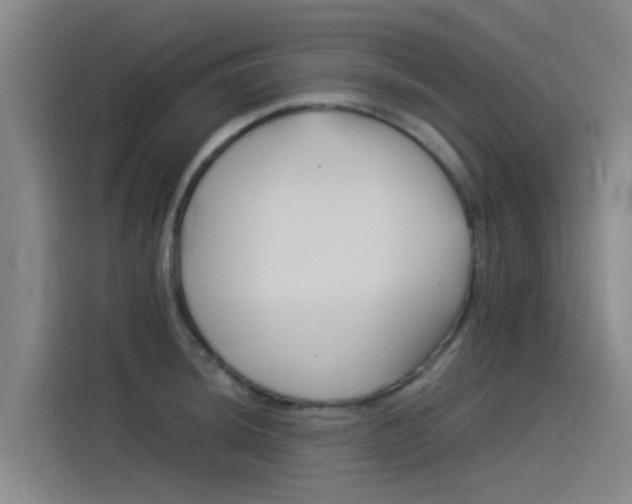 X0000115511044200911060958