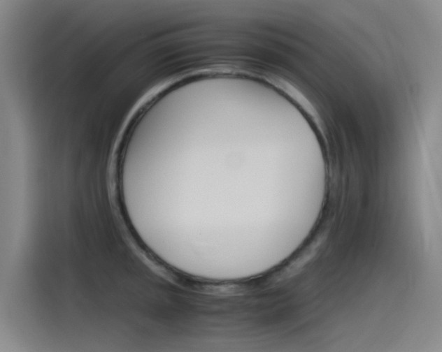 X0000115511045200911060958