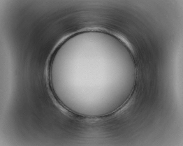 X0000115511046200911060958