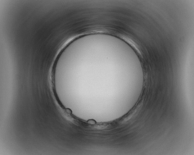 X0000115511047200911060958