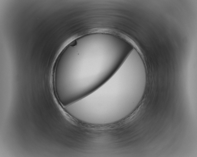 X0000115511050200911060958