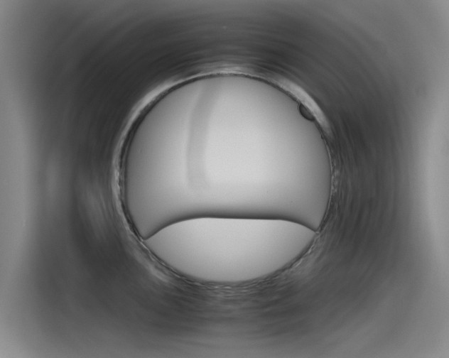 X0000115511051200911060958