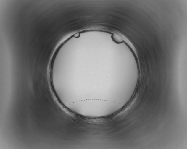 X0000115511053200911060959