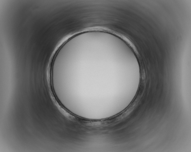 X0000115511054200911060959