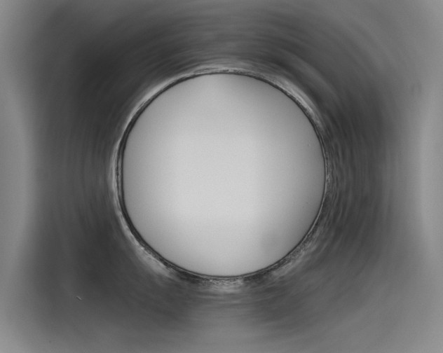X0000115511055200911060959