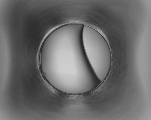 X0000115511056200911060959