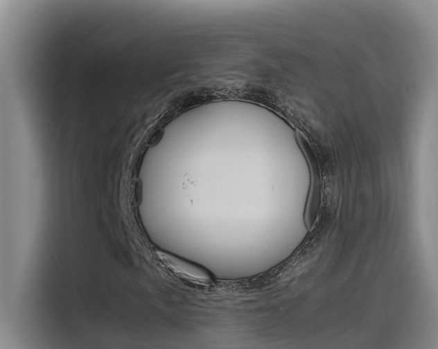 X0000115511057200911060958