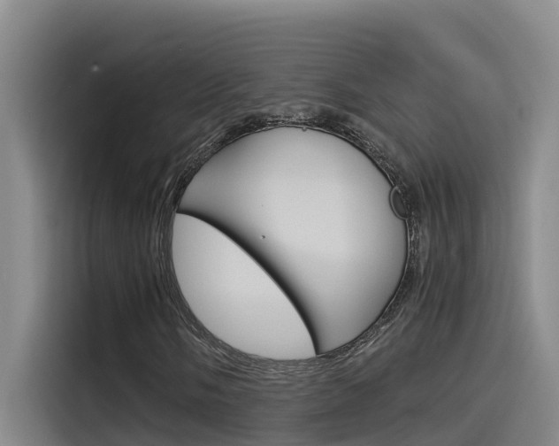 X0000115511058200911060958